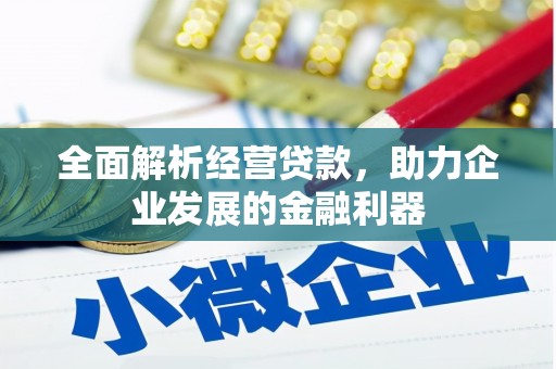 钟祥全面解析经营贷款，助力企业发展的金融利器