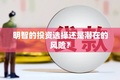 钟祥明智的投资选择还是潜在的风险？