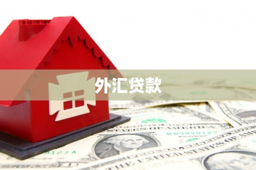 钟祥外汇贷款