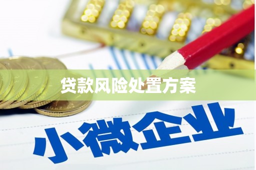 钟祥贷款风险处置方案