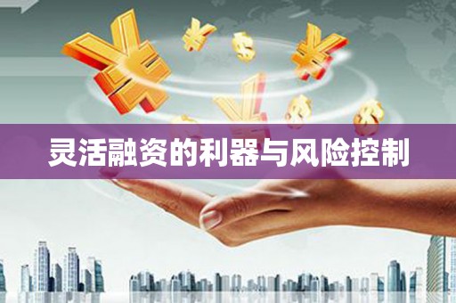 钟祥灵活融资的利器与风险控制