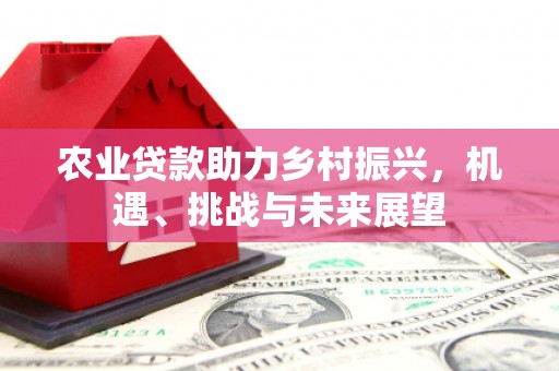 钟祥农业贷款助力乡村振兴，机遇、挑战与未来展望