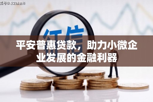 钟祥平安普惠贷款，助力小微企业发展的金融利器