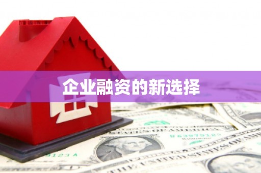 钟祥企业融资的新选择