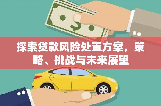 钟祥探索贷款风险处置方案，策略、挑战与未来展望