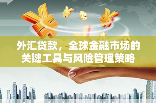 钟祥外汇贷款，全球金融市场的关键工具与风险管理策略