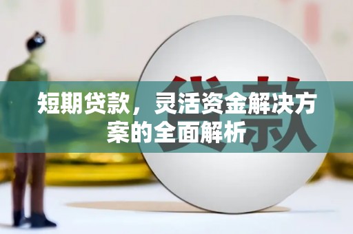 钟祥短期贷款，灵活资金解决方案的全面解析
