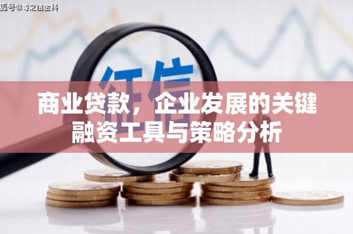 钟祥商业贷款，企业发展的关键融资工具与策略分析