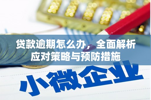 钟祥贷款逾期怎么办，全面解析应对策略与预防措施