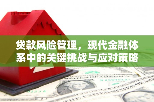 钟祥贷款风险管理，现代金融体系中的关键挑战与应对策略