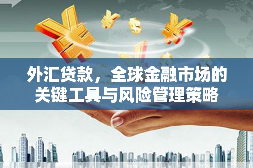 钟祥外汇贷款，全球金融市场的关键工具与风险管理策略