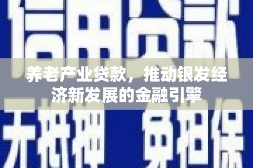 钟祥养老产业贷款，推动银发经济新发展的金融引擎