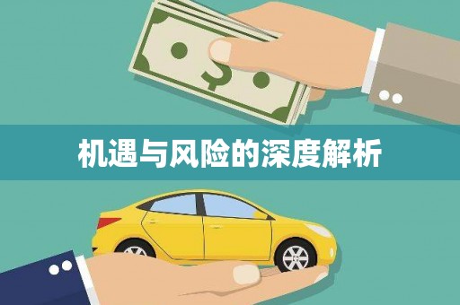 钟祥机遇与风险的深度解析