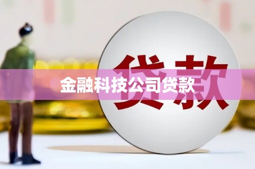 钟祥金融科技公司贷款