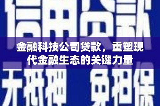钟祥金融科技公司贷款，重塑现代金融生态的关键力量
