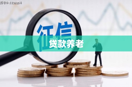 钟祥贷款养老
