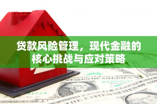 钟祥贷款风险管理，现代金融的核心挑战与应对策略