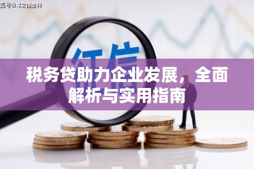钟祥税务贷助力企业发展，全面解析与实用指南