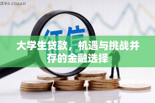 钟祥大学生贷款，机遇与挑战并存的金融选择