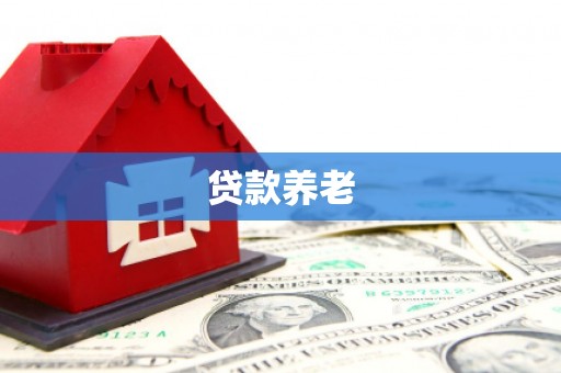 钟祥贷款养老