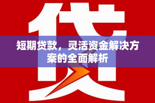 钟祥短期贷款，灵活资金解决方案的全面解析