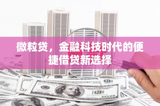 钟祥微粒贷，金融科技时代的便捷借贷新选择