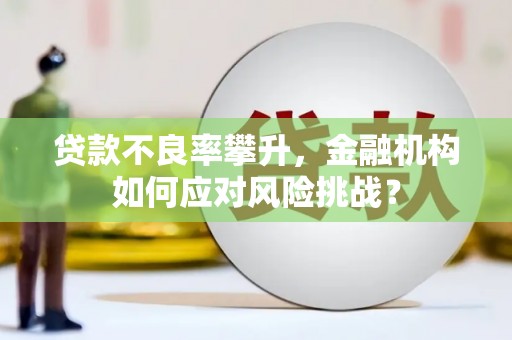 钟祥贷款不良率攀升，金融机构如何应对风险挑战？
