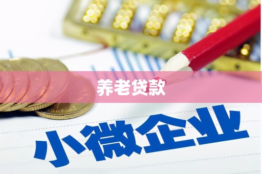 钟祥养老贷款