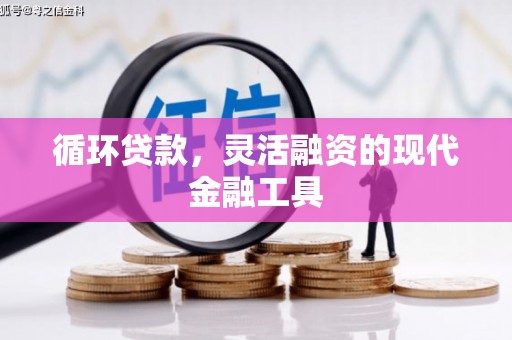 钟祥循环贷款，灵活融资的现代金融工具