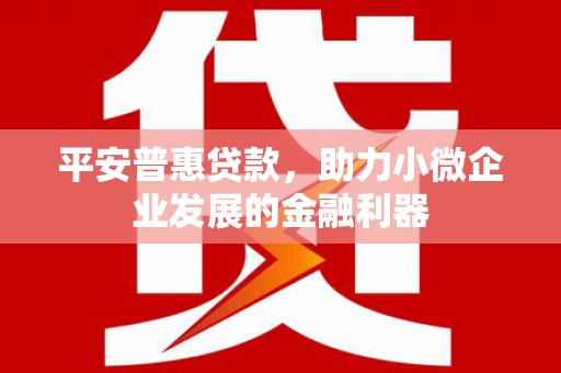 钟祥平安普惠贷款，助力小微企业发展的金融利器